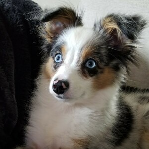 Fundraising Page: Brenda Warinner